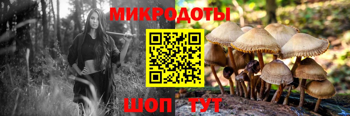 Псилоцибиновые грибы прущие грибы  Вход с VPN  Губкинский  Галлюциногенные грибы GOLDEN TEACHER 