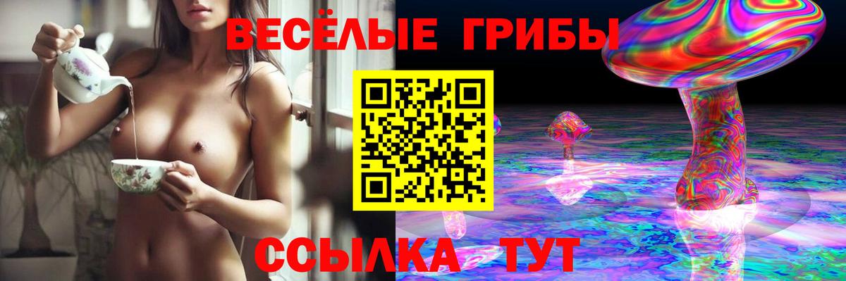 Псилоцибиновые грибы ЛСД Губкинский